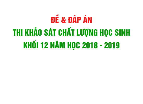 de-dap-thi khao sat