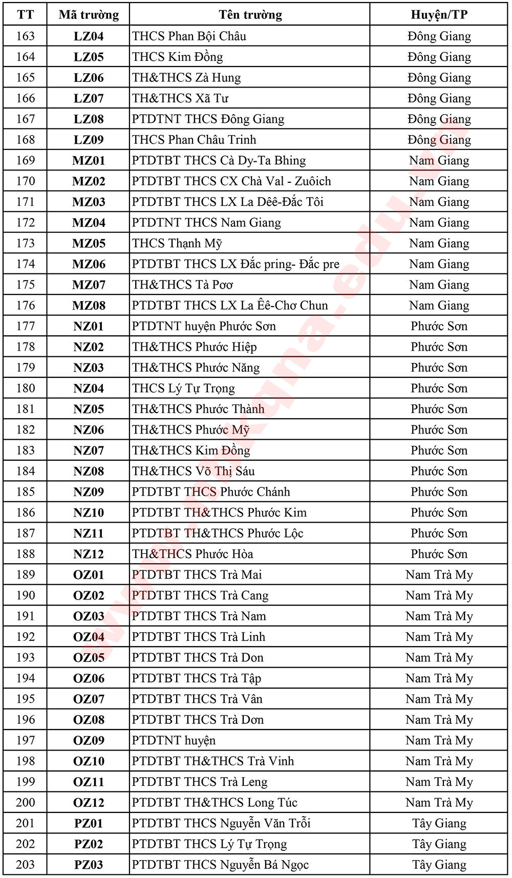 hd matruong5