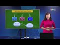  Bài 36,37,38: Quần thể, các đặc trưng cơ bản của quần thể sinh vật - Sinh học 12